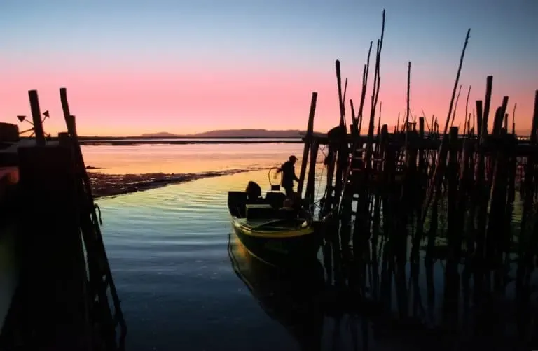 Portuguese Hidden Gems: Alcacer Do Sal