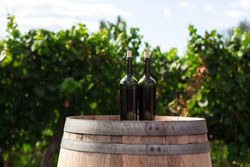 InVino Fund Portugal Golden Visa