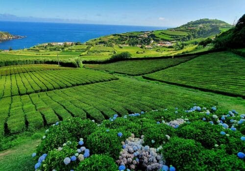 best places to live in portugal