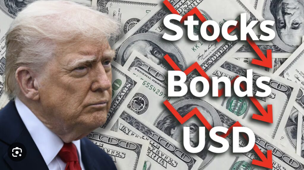 | The Golden Portugal