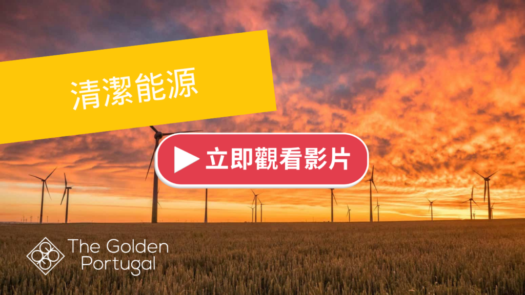 | 金葡諮詢