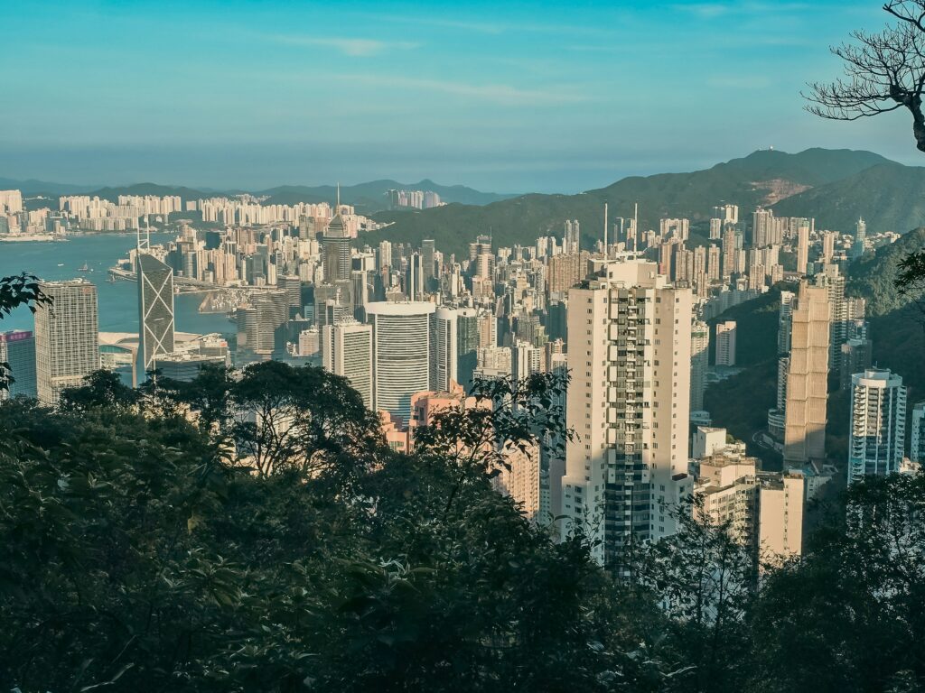 | 金葡諮詢