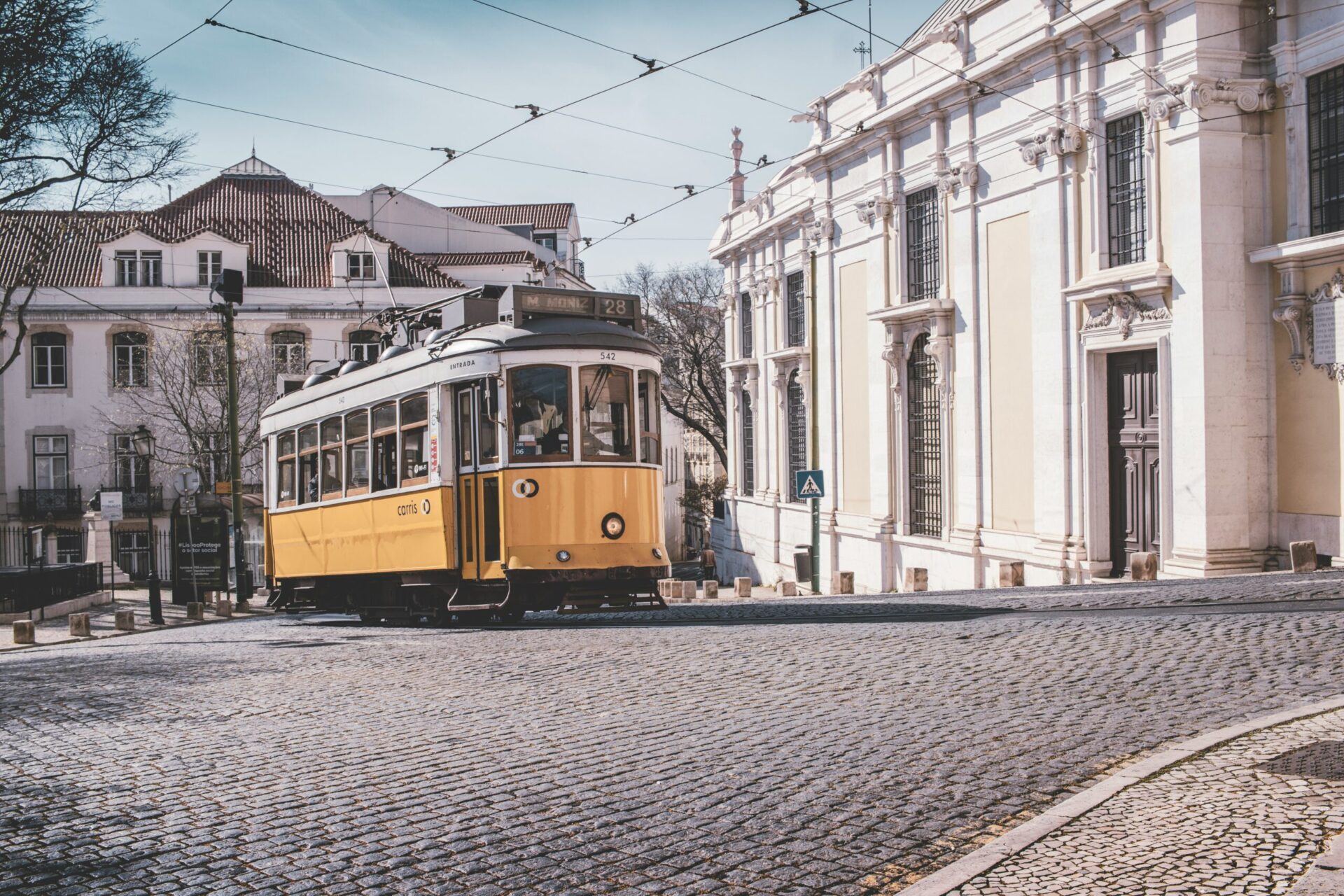 | The Golden Portugal