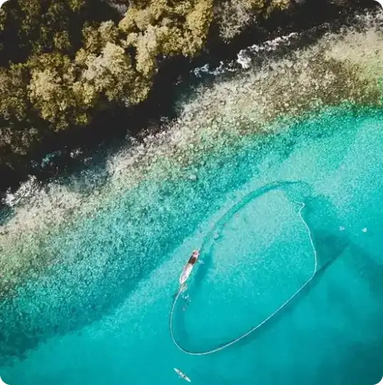 Top 1 Citizenship by Investment Program